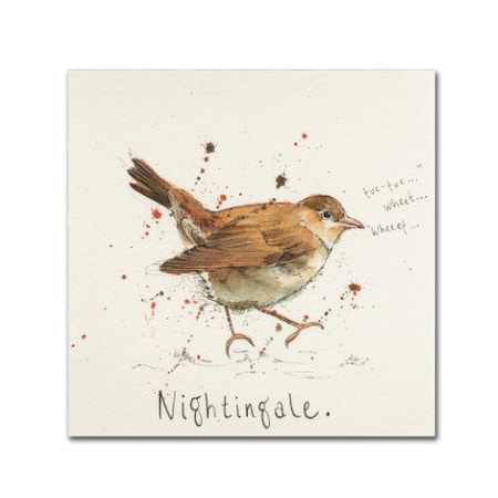 Michelle Campbell 'Nightingale' Canvas Art,35x35